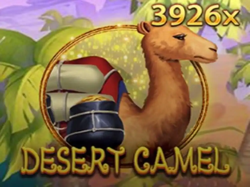 Desert Camel