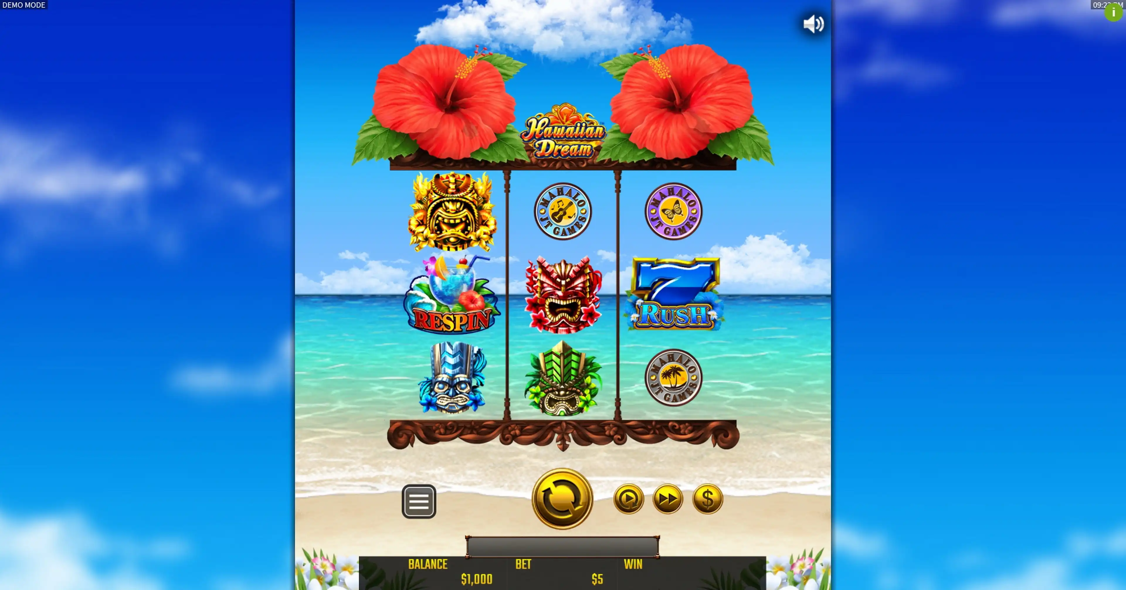 Reels in Hawaiian Dream Slot Game by JTG