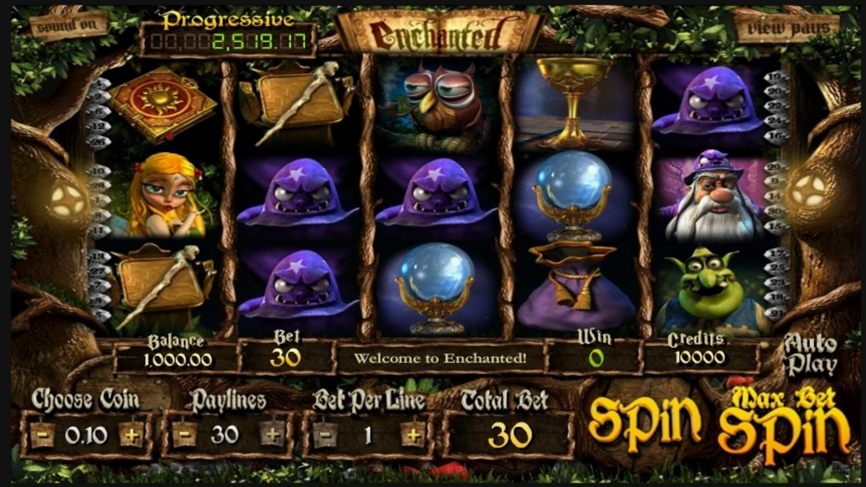 Reels in Enchanted Slot Game by Betsoft