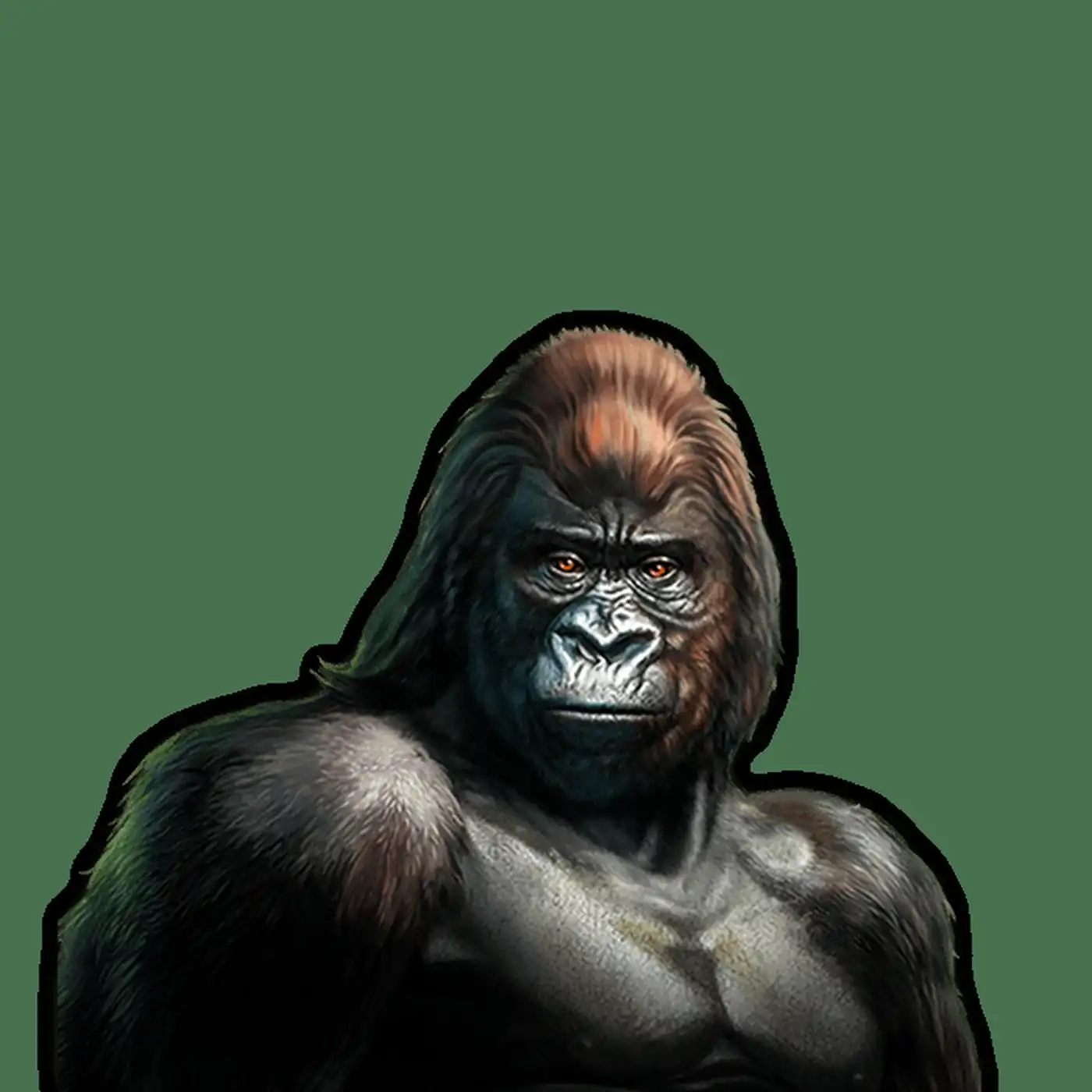 Gorilla