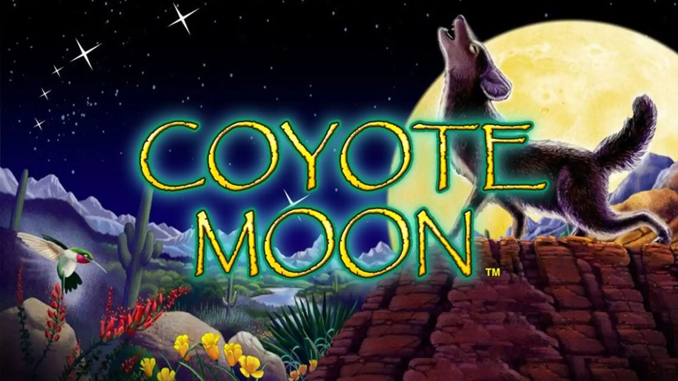 Coyote Moon