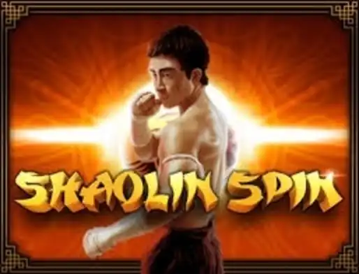 Shaolin Spin