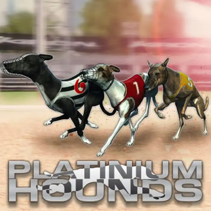 Virtual Platinum Hounds