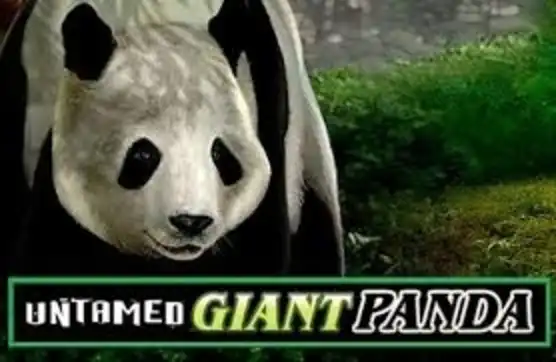 Untamed Giant Panda