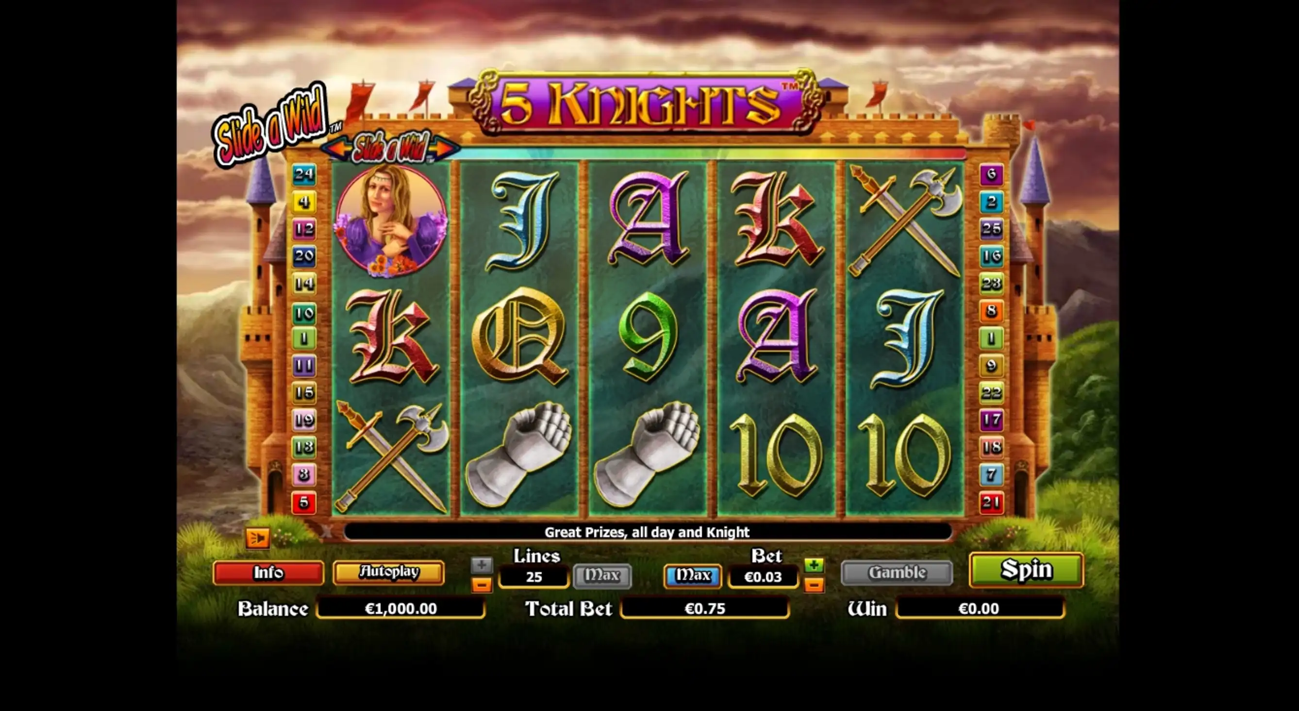 Reels in 5 Knights Slot Game by NextGen Gaming