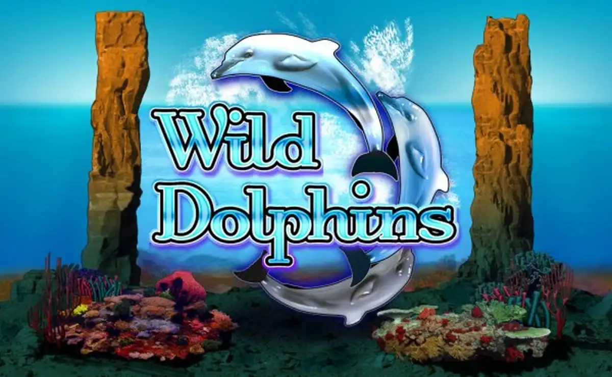 Wild Dolphins