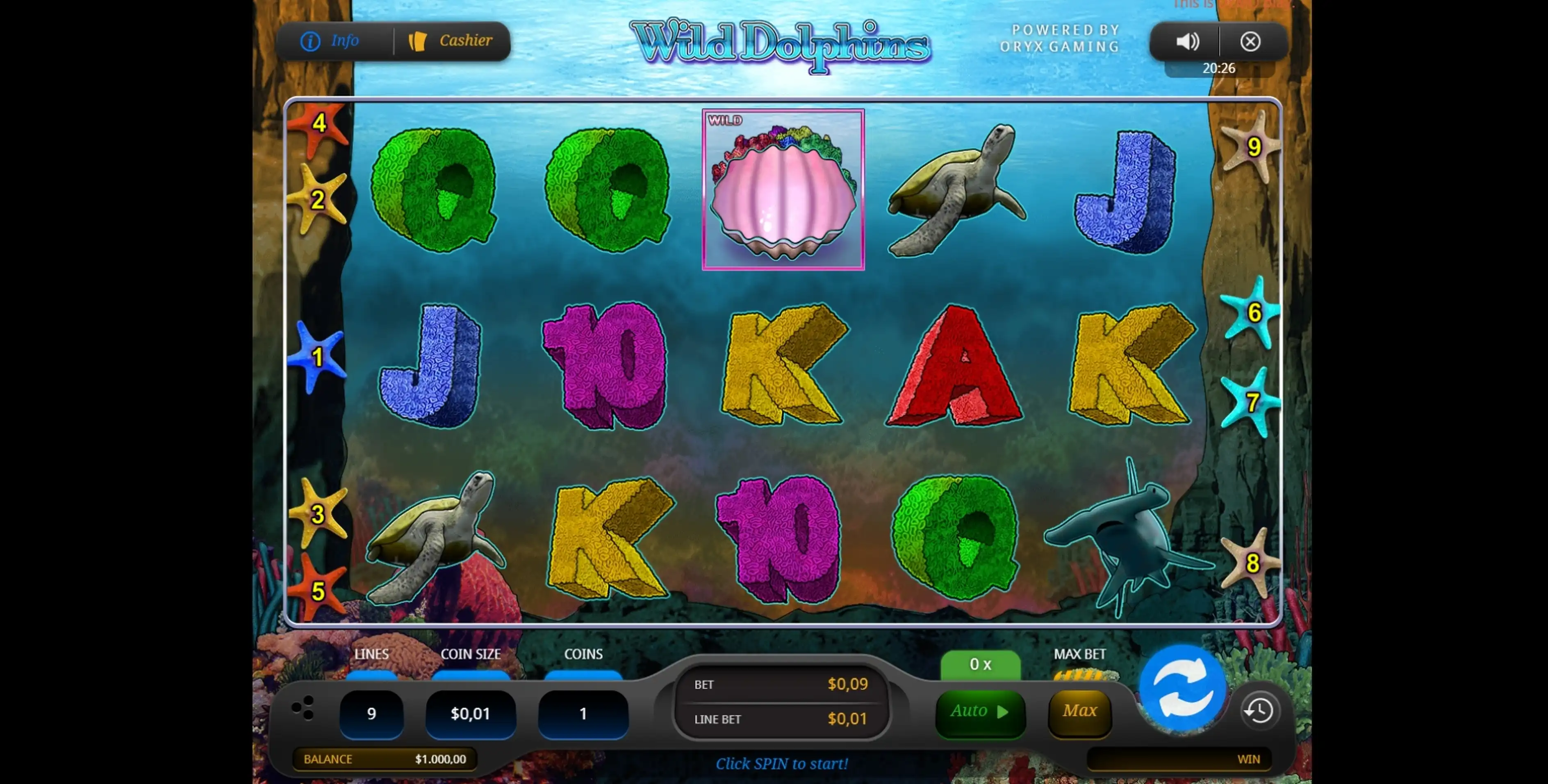 Reels in Wild Dolphins Slot Game by Oryx Gaming