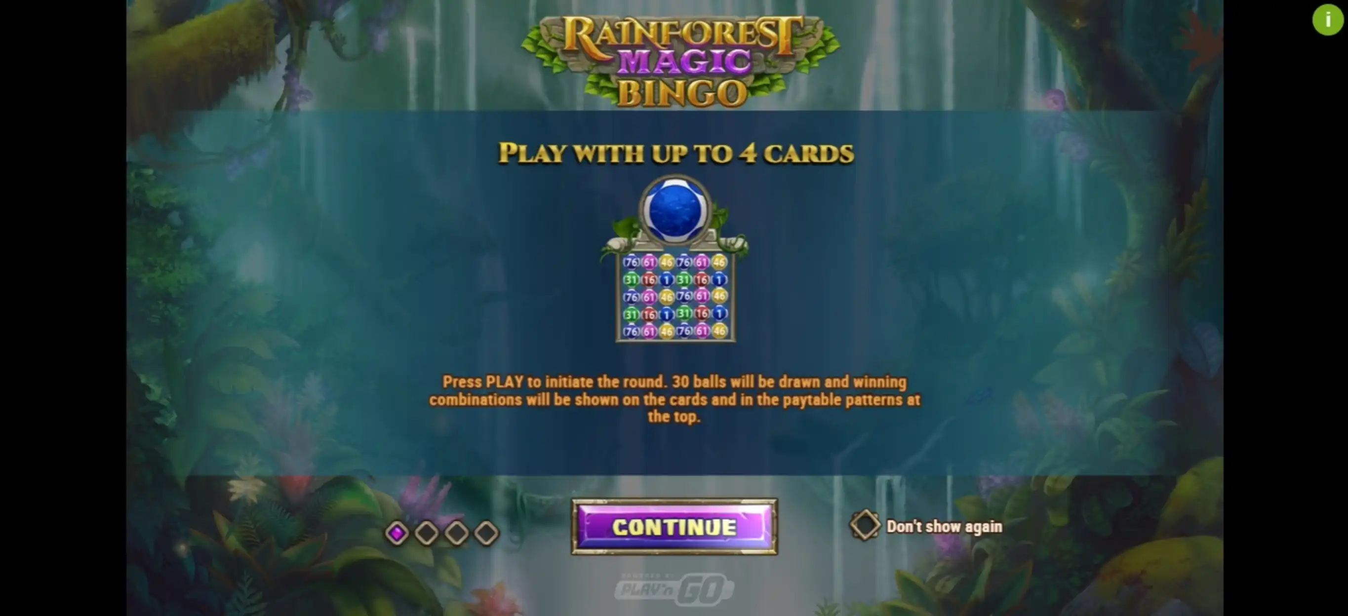 Play Rainforest Magic Bingo Free Casino Slot Game by Playn GO