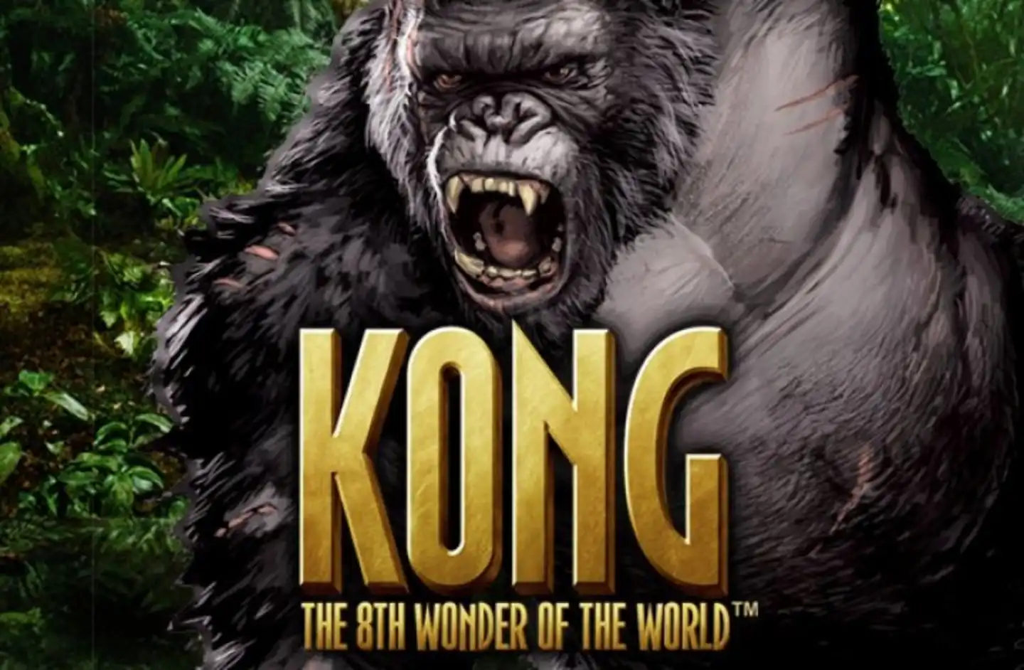 Kong