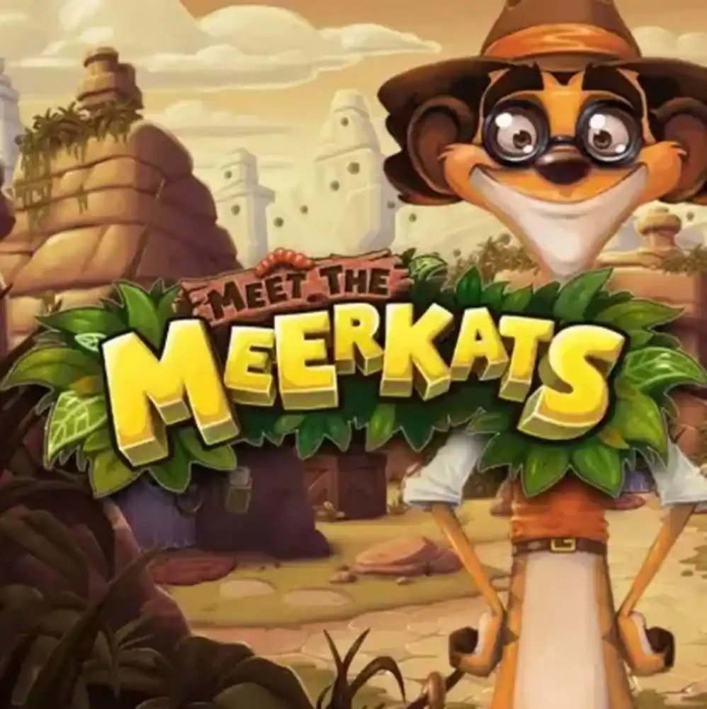 Meet the Meerkats